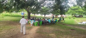 aquaculture, africa, aquabiotech group, pond, fish, project