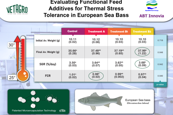 infographic photo that sums up the trial carriied out with Vetagro, an italian company. We tested european Sea bass thermal stress over a period of time in triplicate.