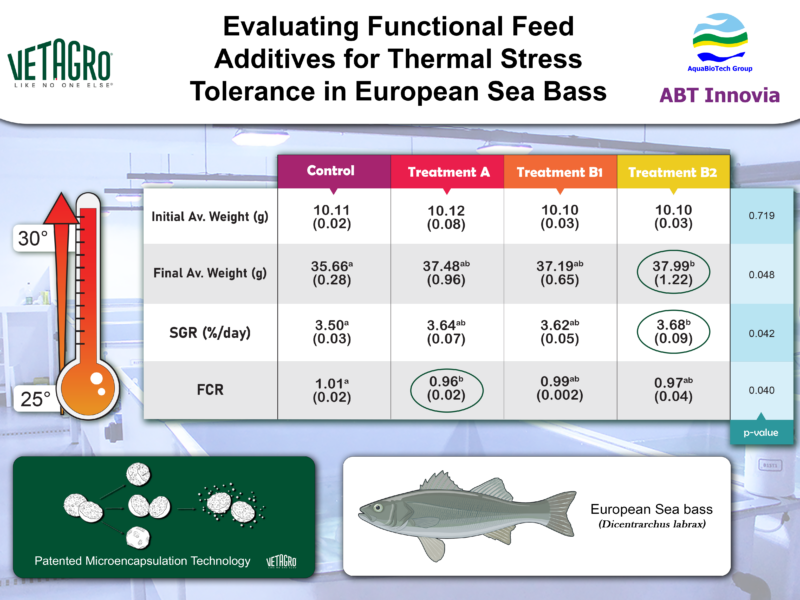infographic photo that sums up the trial carriied out with Vetagro, an italian company. We tested european Sea bass thermal stress over a period of time in triplicate.