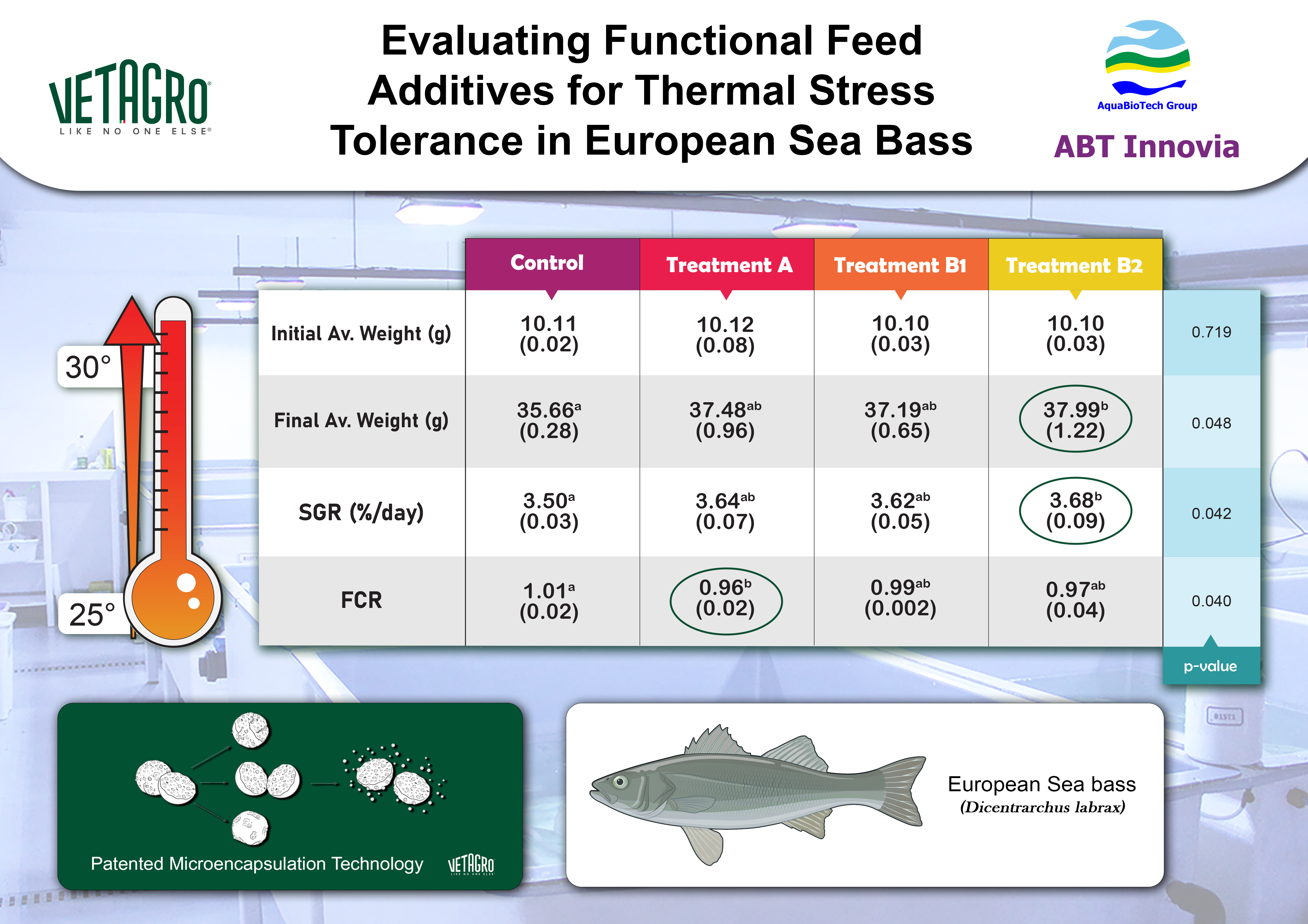 infographic photo that sums up the trial carriied out with Vetagro, an italian company. We tested european Sea bass thermal stress over a period of time in triplicate.